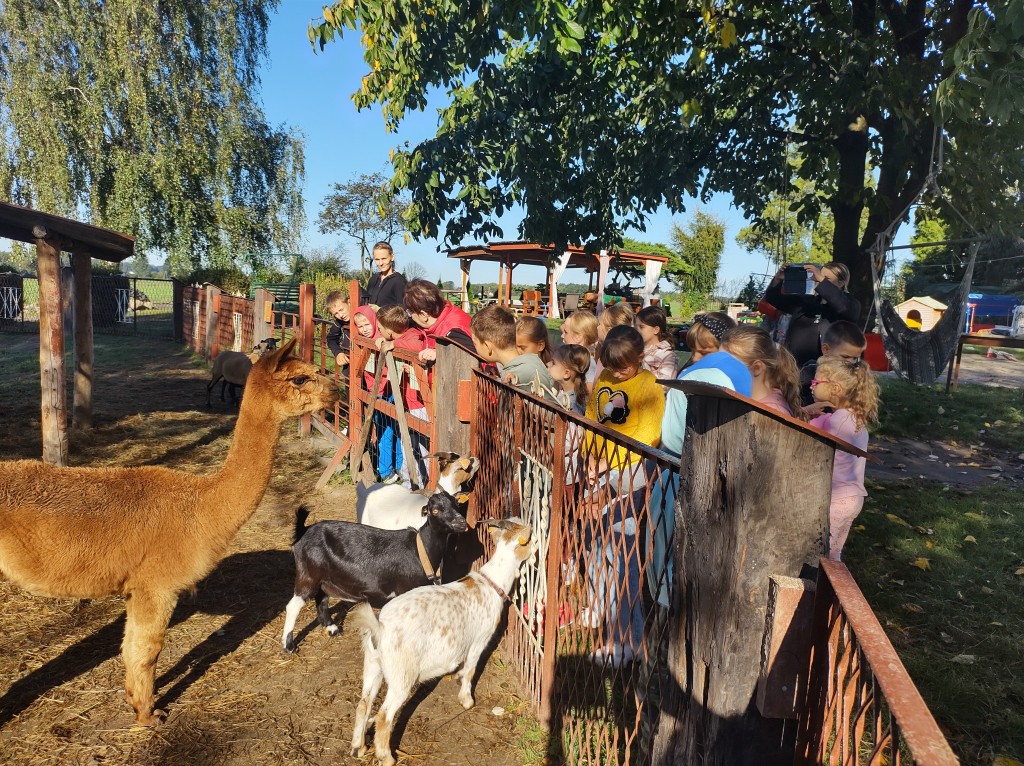 WIEJSKA PRZYGODA