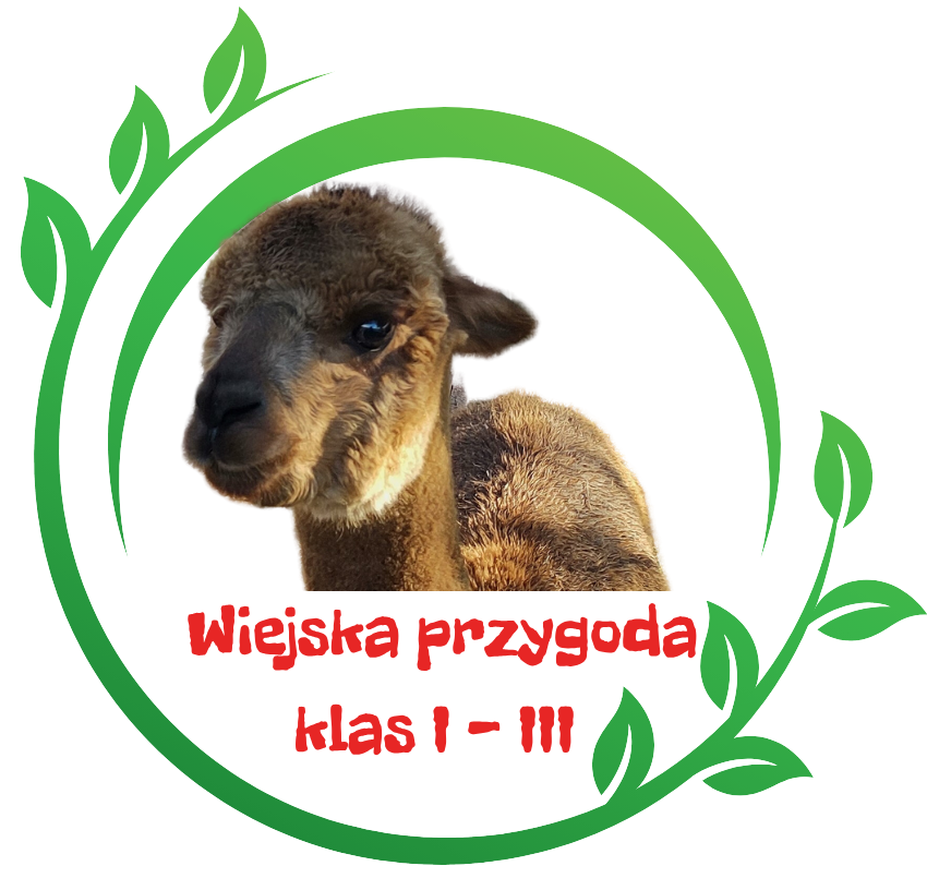 Wiejska przygoda - zdjęcie