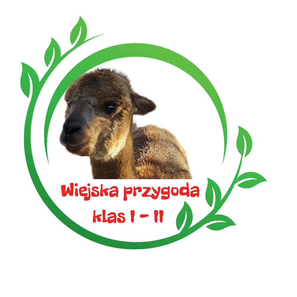 Wiejska przygoda