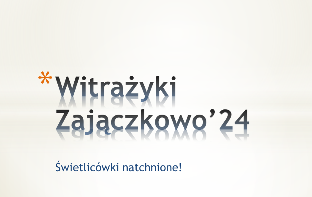 WITRAŻYKI ZAJĄCZKOWO ' 24